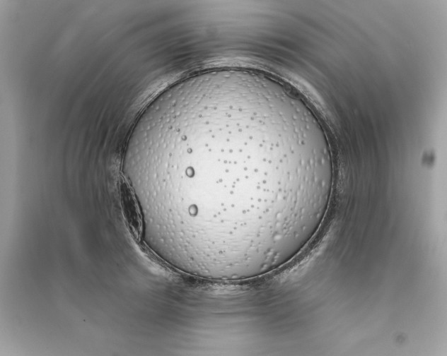 X0000090750849200708101723