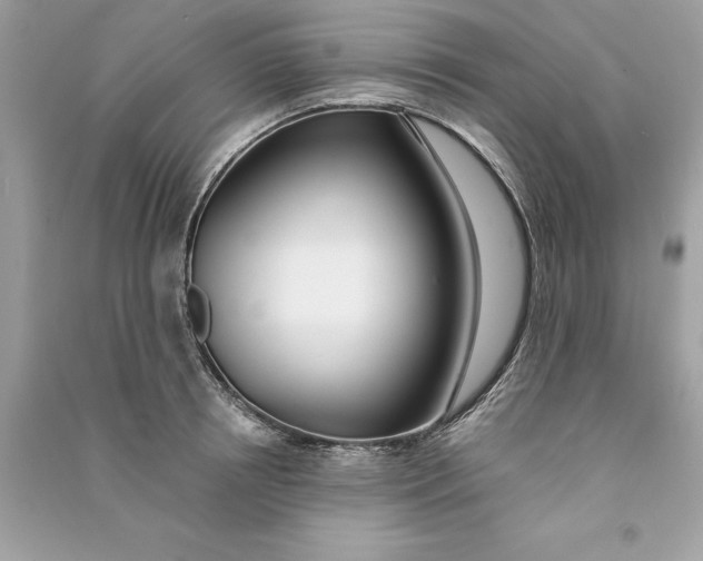 X0000090750850200708101723