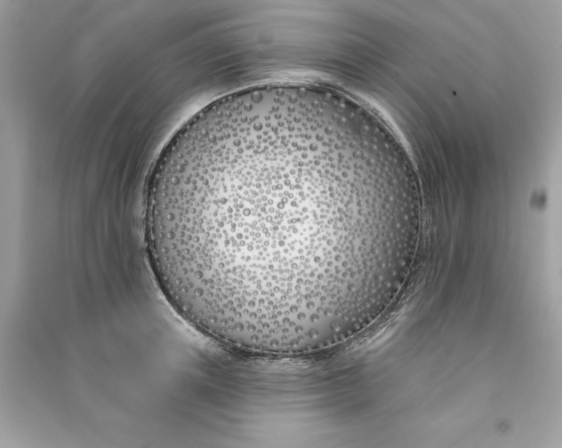 X0000090750851200708101723