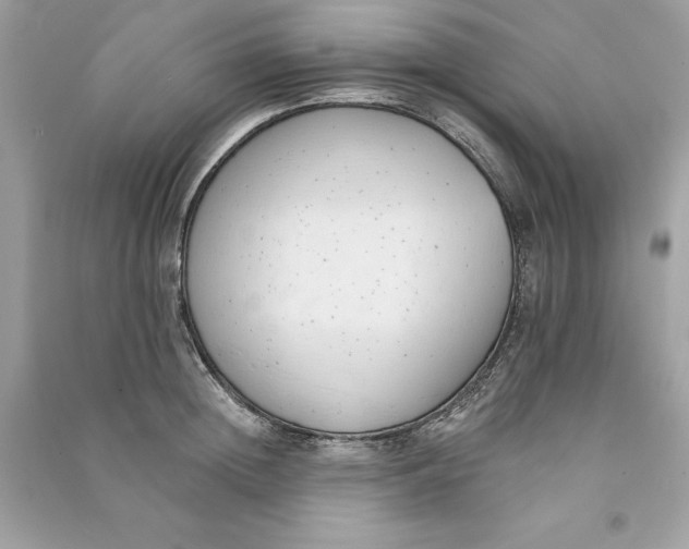 X0000090750852200708101723