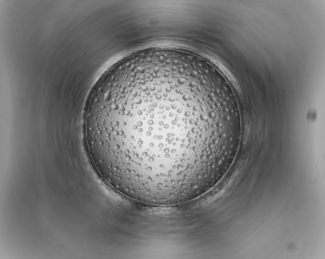 X0000090750853200708101723