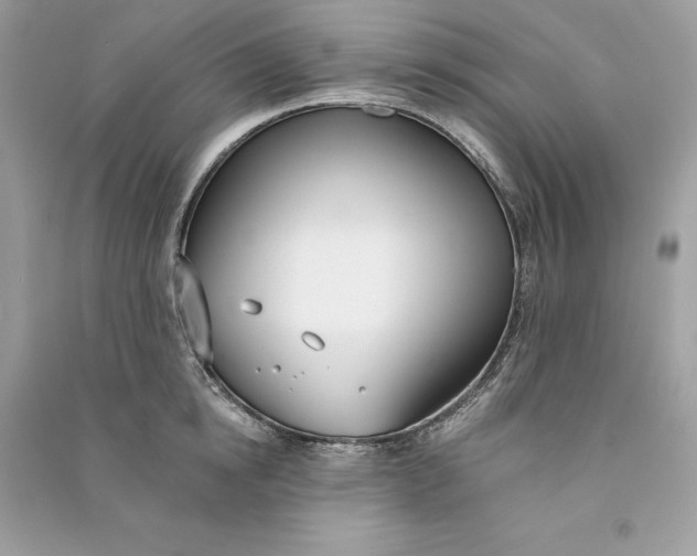 X0000090750854200708101723