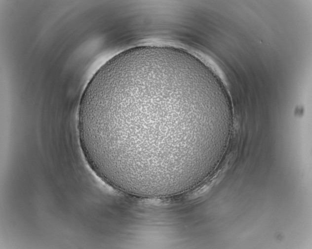 X0000090750855200708101723