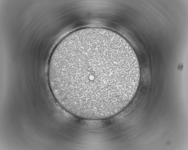 X0000090750856200708101723