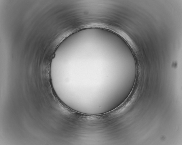 X0000090750857200708101723