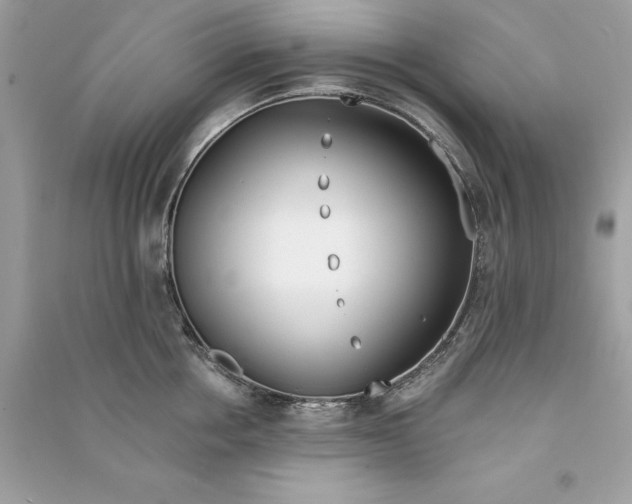 X0000090750858200708101723