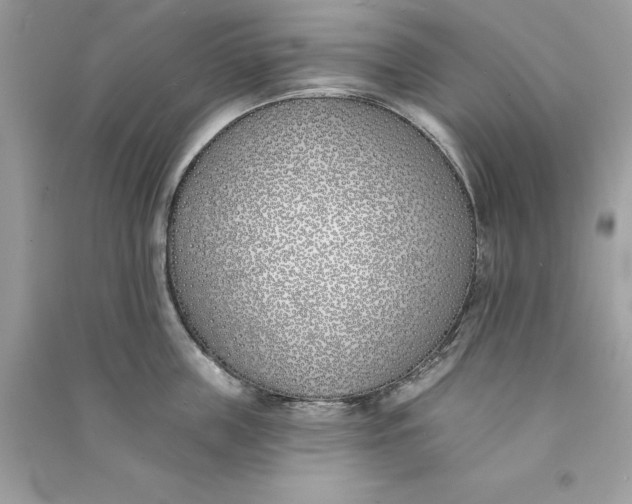 X0000090750859200708101723