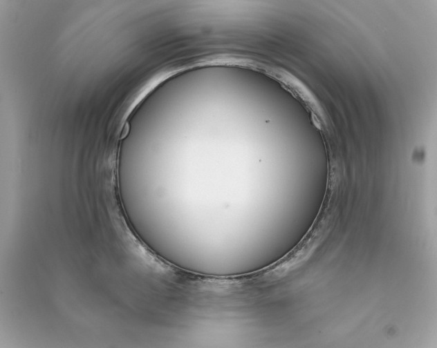 X0000090750860200708101723