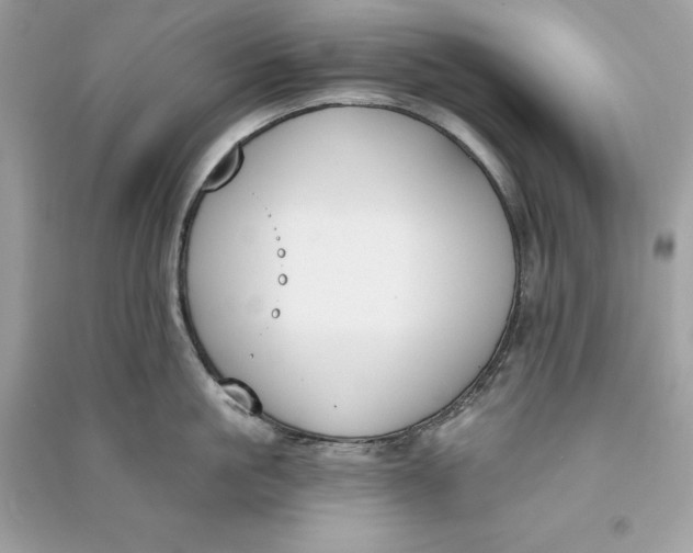 X0000090750861200708101723