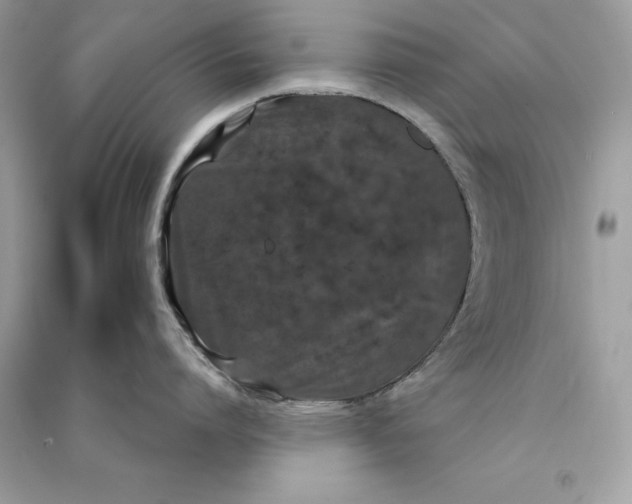 X0000090750864200708101723