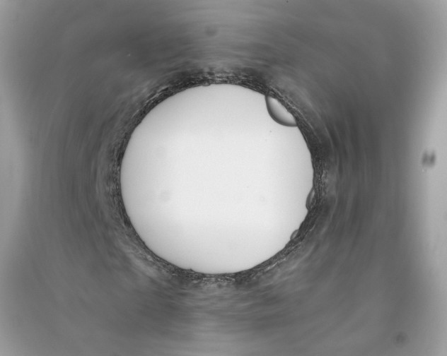 X0000090750865200708101723