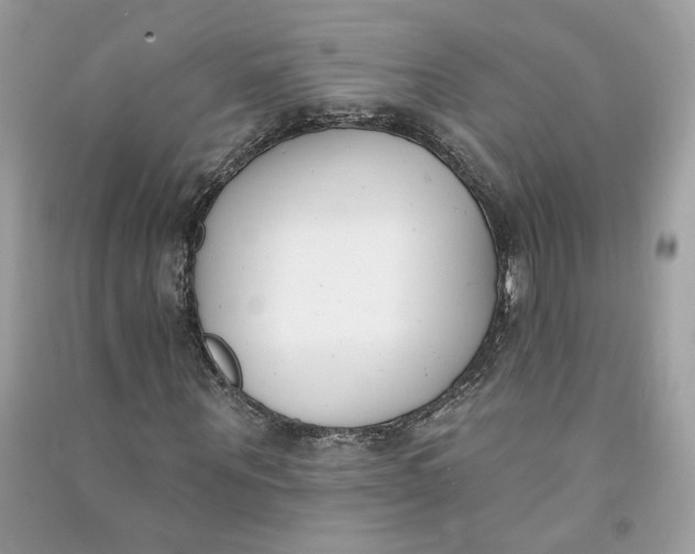 X0000090750867200708101723