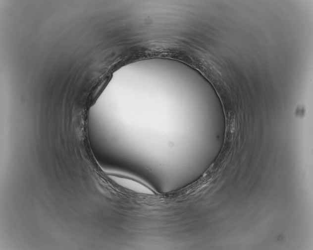 X0000090750868200708101723