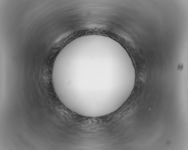 X0000090750869200708101723