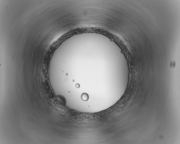 X0000090750871200708101722