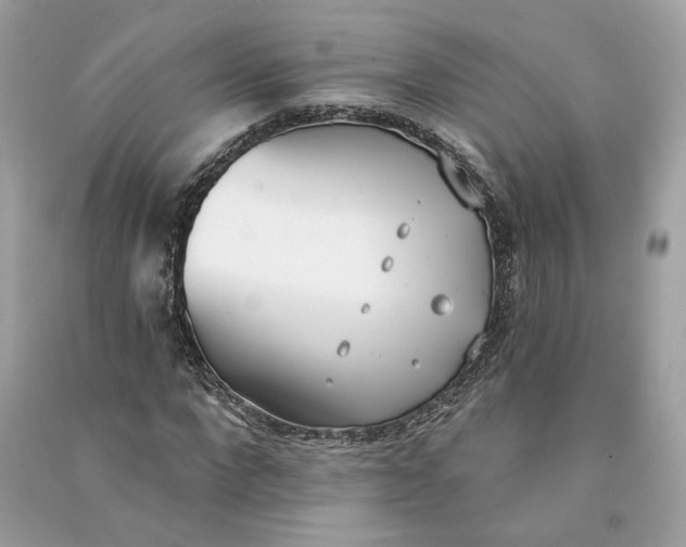 X0000090750872200708101722