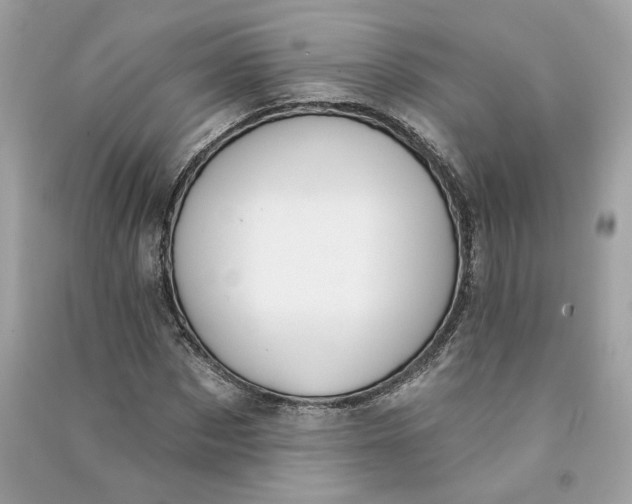 X0000090750873200708101722