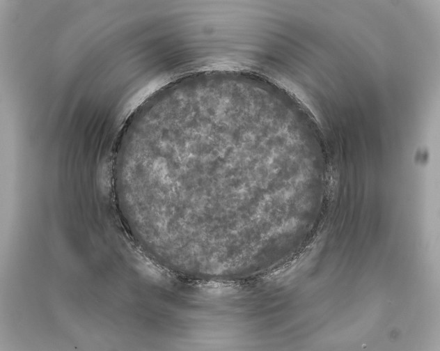 X0000090750874200708101722