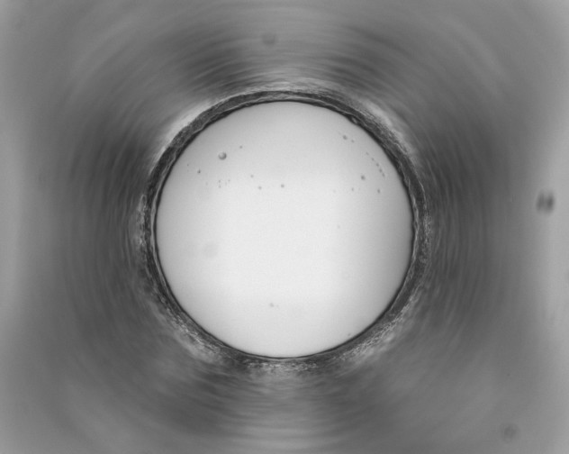 X0000090750875200708101722