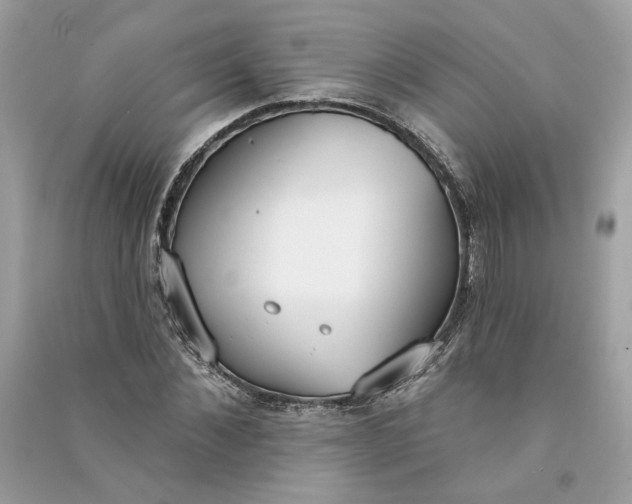 X0000090750876200708101722