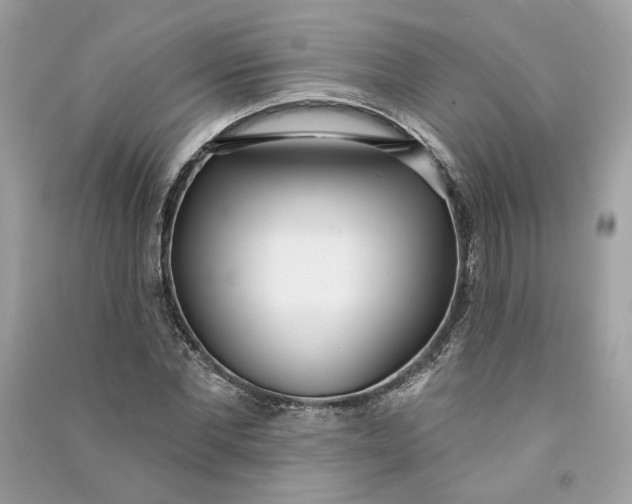 X0000090750877200708101722