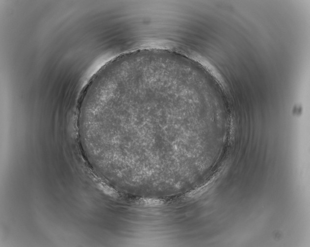 X0000090750878200708101722