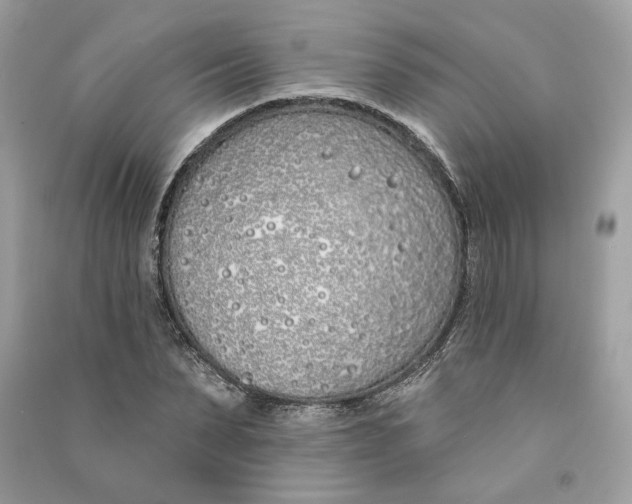 X0000090750879200708101722