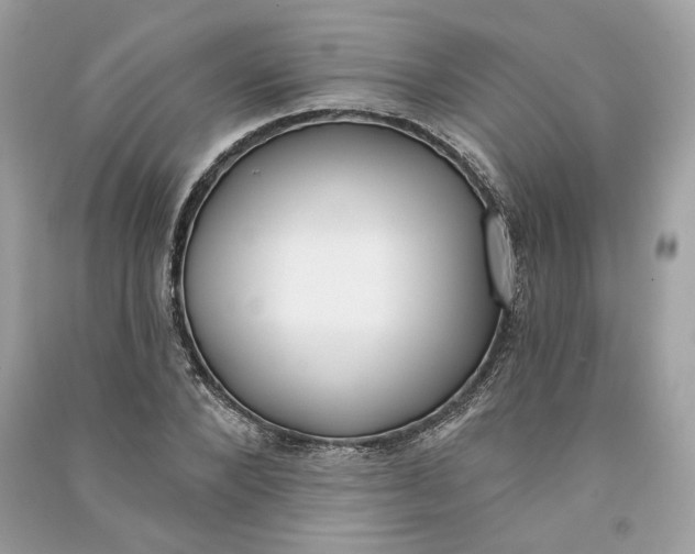 X0000090750880200708101722