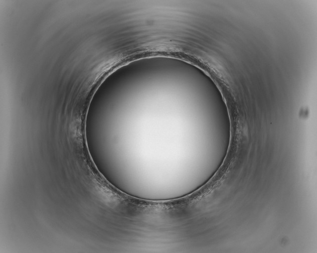 X0000090750881200708101722