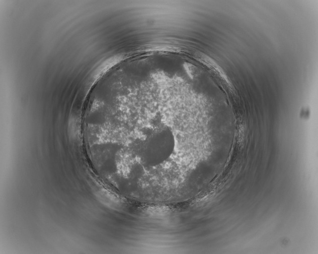 X0000090750882200708101722