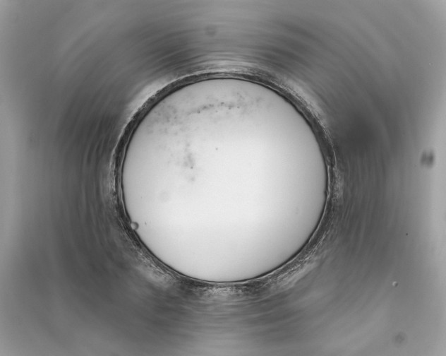 X0000090750883200708101722