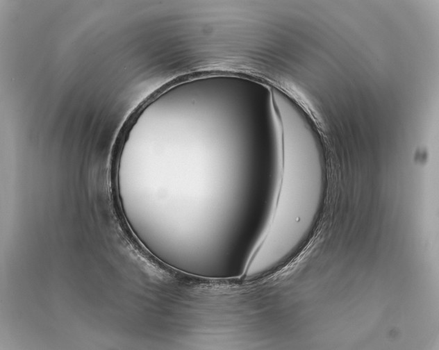 X0000090750884200708101722