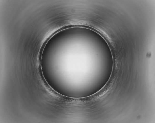 X0000090750885200708101722