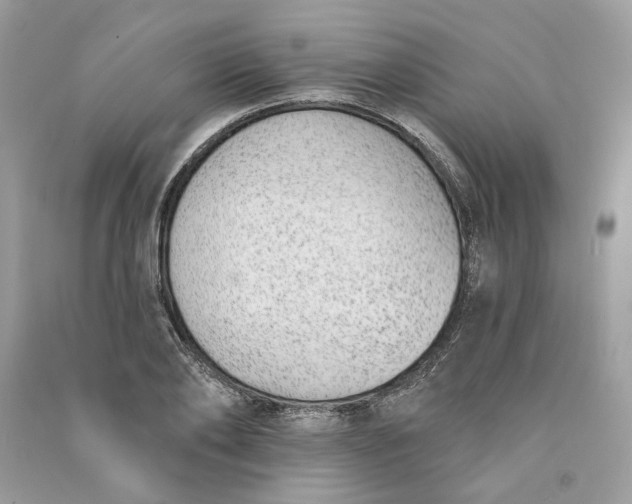 X0000090750886200708101722