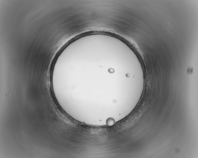 X0000090750887200708101722