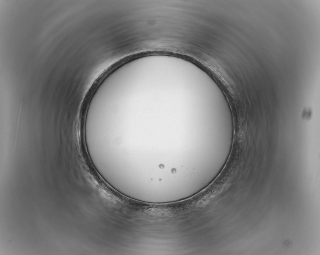 X0000090750888200708101722