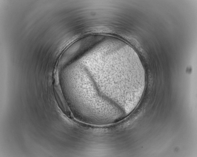 X0000090750889200708101722