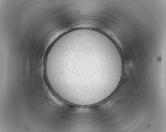 X0000090750890200708101722