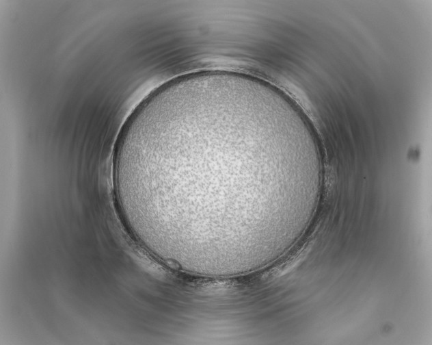 X0000090750891200708101722