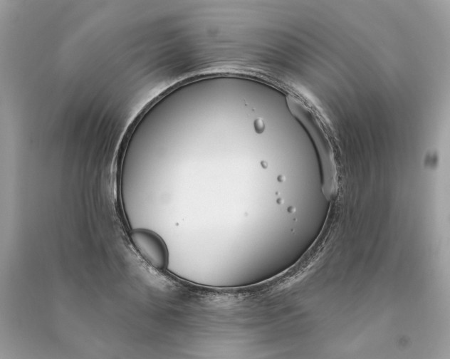 X0000090750892200708101722