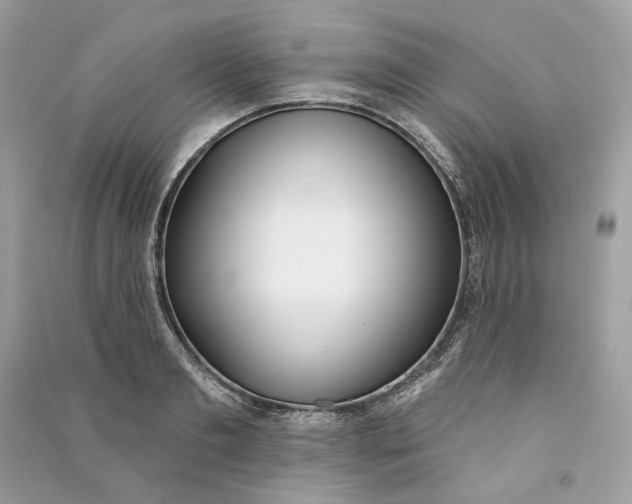 X0000090750893200708101722