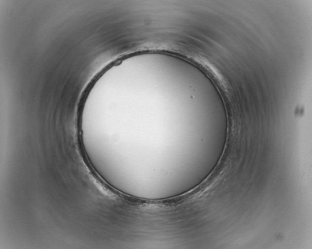 X0000090750894200708101722