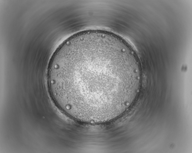 X0000090750895200708101722