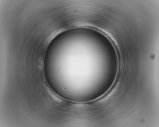 X0000090750897200708101722