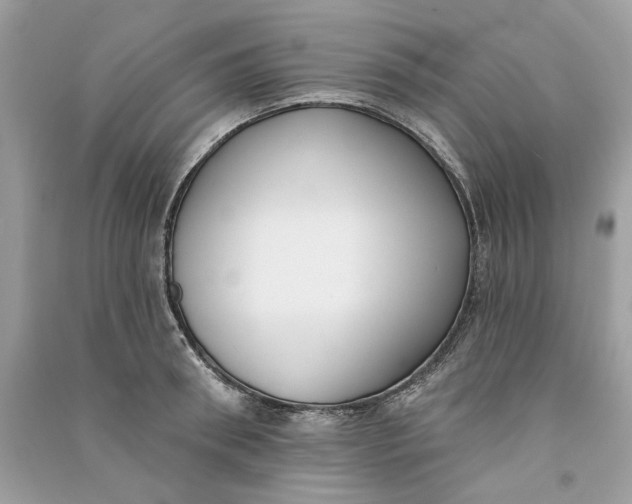 X0000090750898200708101722