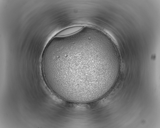 X0000090750899200708101722