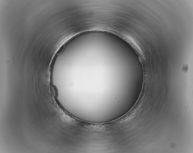 X0000090750900200708101722