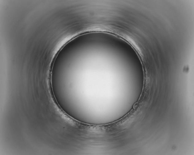 X0000090750901200708101722