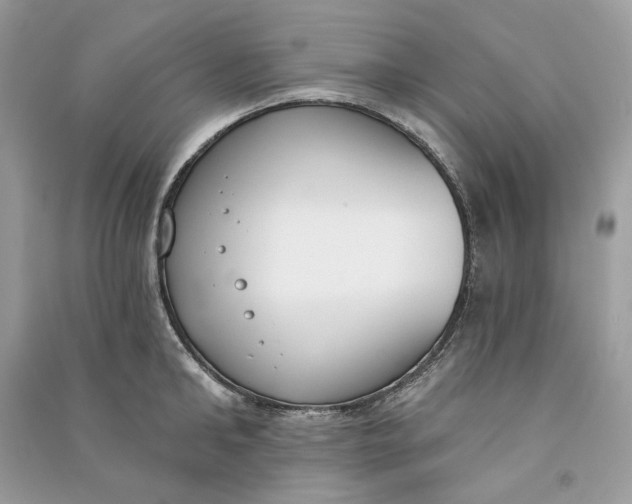 X0000090750902200708101722