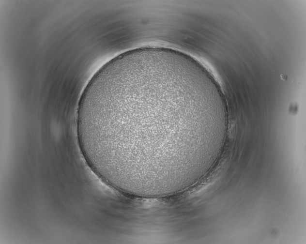 X0000090750903200708101722